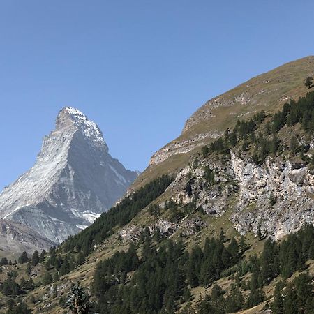 Joy - Matterhorn View Leilighet Zermatt Eksteriør bilde